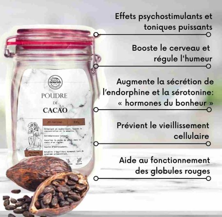 Poudre Cacao-Bio-100g